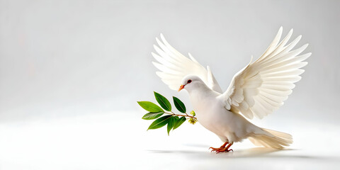 Obraz premium Flat Isolated Peace Dove Vector with Olive Branch Symbolizing Peace and Freedom for Human Rights Day - Minimalist Design Ideal for Infographics