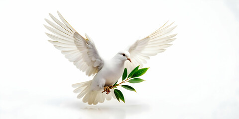 Obraz premium Flat Isolated Peace Dove Vector with Olive Branch for Human Rights Day - Minimalist Design Ideal for Infographics and Symbolizing Freedom and Peace