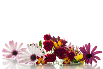 small bouquet of small multi-colored summer flowers