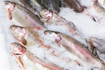 Fresh fish on ice in a supermarket display. Chilled seafood selection in a grocery store for sale. Cold storage ensuring freshness for customers.