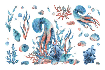 Naklejka premium Underwater world clipart with sea animals octopus, shells, coral and algae. Hand drawn watercolor illustration. Set of elements isolated from the background