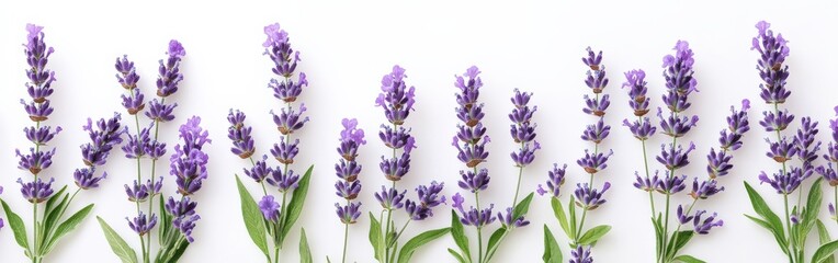 Beautiful lavender flower pattern with soft purples and greens, botanical style