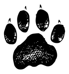 Lion - paw print vector illustration © Renee