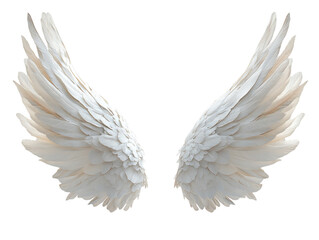 Fototapeta premium White angel wings with delicate feathers on white background. PNG transparent.