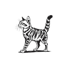 A colorful watercolor painting of an American Bobtail cat illustration.  black and white silhouette line art