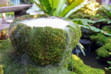 automatic smoke in moss clay jar for decorating the garden to look fresh and beautiful.soft and...