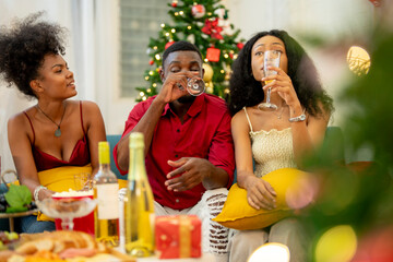 A group of friends celebrates Christmas together at home, enjoying drinks and laughter around a cozy living room. A decorated Christmas tree lights up the background, adding warmth to the holiday.