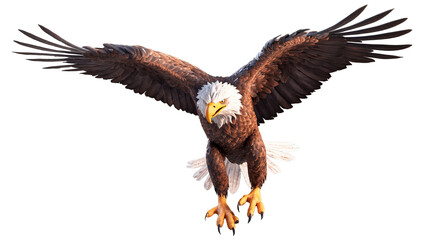 Obraz premium A fierce eagle flying, 3d render, transparent background