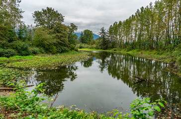 North Bend River  3