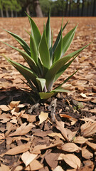 green plant outdoors surrounded by autumn leaves