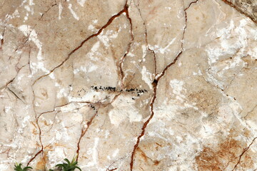 Texture and structure of stone and concrete. Natural background.