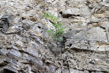 Texture and structure of stone and concrete. Natural background.