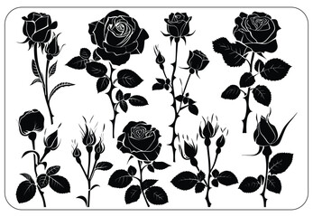 pattern with roses