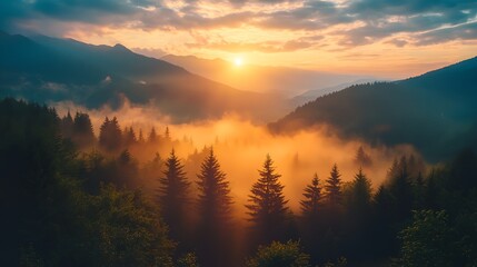 Fototapeta premium a sunset over a forest with fog and trees in the foreground and a mountain range in the background..
