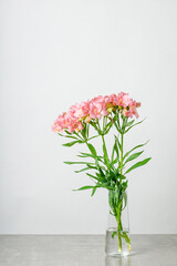 Flowers bouquet pink alstroemeria, Lily of the Incas, in vase on isolated white background