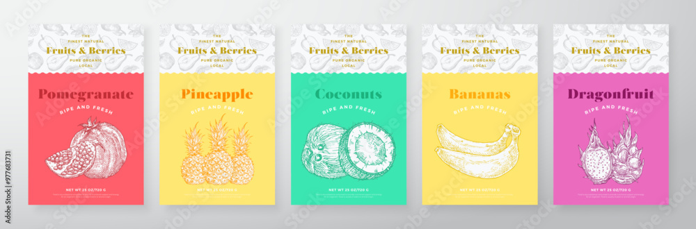 Poster fruits and berries pattern label templates set. vector packaging design layout collection modern typ