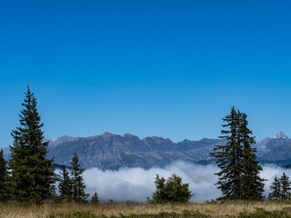 massif des aravis dans les alpes avec nuages bas et épicéas en premier plan