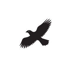 Obraz premium Hawk in cartoon, doodle style . Image for t-shirt, web, mobile apps and ui. Isolated 2d vector illustration in logo, icon, sketch style, Eps 10, black and white. AI Generative