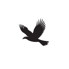 Naklejka premium Hawk in cartoon, doodle style . Image for t-shirt, web, mobile apps and ui. Isolated 2d vector illustration in logo, icon, sketch style, Eps 10, black and white. AI Generative