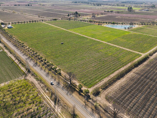 aerial view of vineyard crops and winery construction