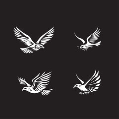 Fototapeta premium Hawk in cartoon, doodle style . Image for t-shirt, web, mobile apps and ui. Isolated 2d vector illustration in logo, icon, sketch style, Eps 10, black and white. AI Generative