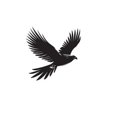 Obraz premium Hawk in cartoon, doodle style . Image for t-shirt, web, mobile apps and ui. Isolated 2d vector illustration in logo, icon, sketch style, Eps 10, black and white. AI Generative