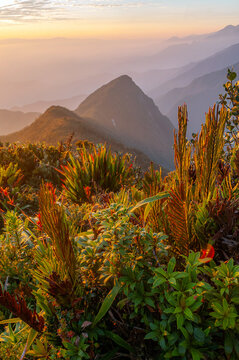 mountains silhouettes with tropical blue and orange colors of sunrise in the Colombian mountain range with a blur and paramos vegetation in an invitation to discover beautiful places