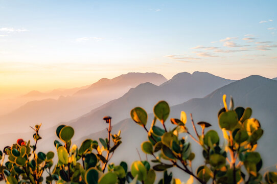 mountains silhouettes with tropical blue and orange colors of sunrise in the Colombian mountain range with a blur and paramos vegetation in an invitation to discover beautiful places