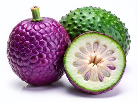 Vibrant purple caimito fruit with green skin and creamy white pulp, isolated on a white background, showcasing its