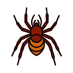 A spider is drawn in a cartoon style with orange and brown colors. The spider is standing on a white background