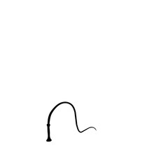 silhouette whip icon