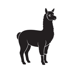 alpaca silhouette vector, black and white silhouette, vector and illustration
