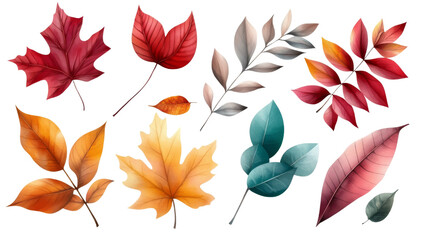 Obraz premium Watercolor autumn leaves, Isolated PNG with Transparent Background