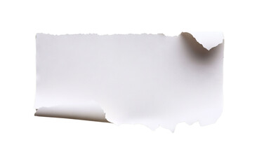Single Piece of Paper with Torn Edges, Isolated PNG with Transparent Background