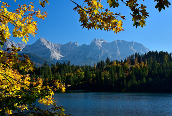 Goldgelbe Ahornblätter ragen in den strahlend blauen Himmel und unter den Blättern fällt der Blick auf einen idyllischen Bergsee mit einem dahinter aufragenden Gebirge.