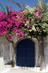 Puerta cubierta de Buganvilla en Pyrgos, isla de Santorini, Grecia 