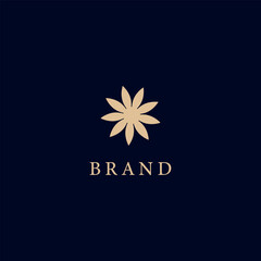 luxury beauty brand logo vector template.