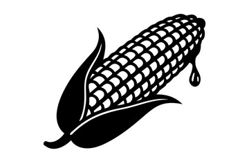 corn cobs isolated on white