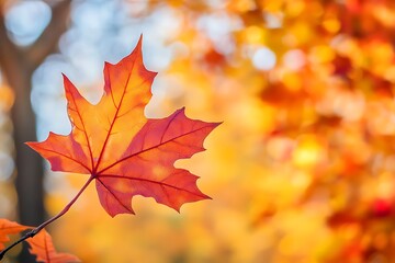Obraz premium Single red maple leaf with blurred autumn forest background. Closeup of colorful foliage in nature