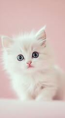 A playful Persian kitten exploring a serene environment with a light solid color backdrop, highlighting its curious expression
