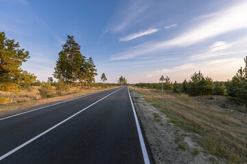 Naklejka premium A road with a tree in the middle of it