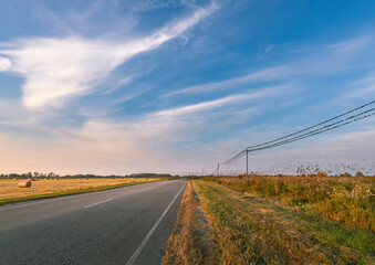 A road with a few trees in the background and a few birds flying in the sky