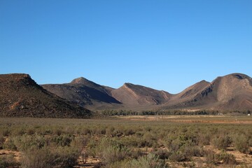 South African Safari