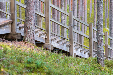 Wooden Staircase Winding Through Forest Hillside