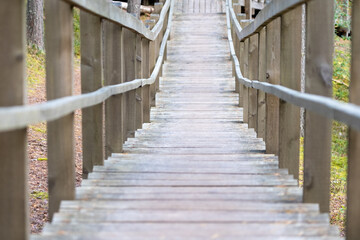 Fototapeta premium Wooden Walkway with Railings in Forest