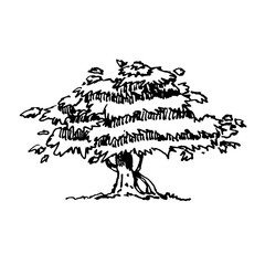 Obraz premium Tree line art ink hand made