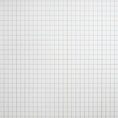 grid layout with evenly spaced vertical and horizontal lines on a white background.