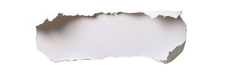 Single Piece of Paper with a Torn Edge, Isolated PNG with Transparent Background