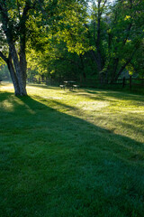 Picnic table in sun and shadow