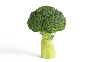 Broccoli on a white background
